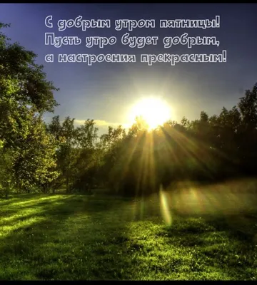 Открытка - красивая открытка с понедельником пусть утро будет добрым.  Скачать бесплатно или отправить картинку. | Открытки, Утро понедельника, Доброе  утро