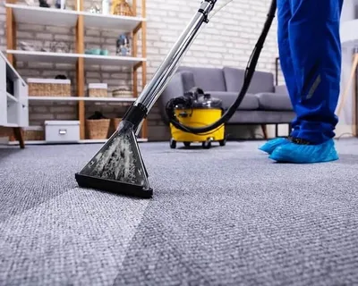 Моющий пылесос Karcher SE 5.100, описание, цена и инструкция. Купите в СПб