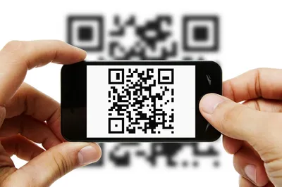 QR-код раздора: почему одним он даётся на год, а кому-то – на полтора?:  Общество: Облгазета