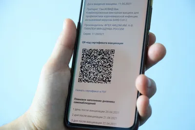 ЦБ хочет ввести единый QR-код для оплаты товаров - Ведомости