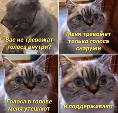 чтотовэтоместь #смех #юмор #позитив #новыйгод #рецепты #еда | TikTok