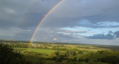 Виниловая наклейка на стену в группу детского сада \"Радуга\".