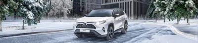 Toyota RAV 4 Gebraucht- und Jahreswagen kaufen bei heycar