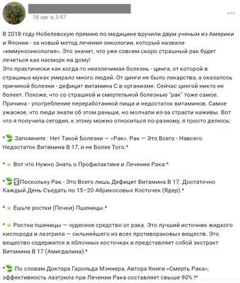 Болезнь почек, человеческого аспекта анатомии Рак почки Реалистичная  иллюстрация вектора изолированной на синем фоне Иллюстрация вектора -  иллюстрации насчитывающей диализ, образование: 168495329