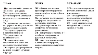 7-13 ноября — Неделя профилактики рака толстой кишки - Официальный сайт СПб  ГБУЗ \"Городская поликлиника №77 Невского района\"