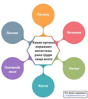 Сложный случай на УЗИ | Пикабу