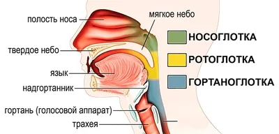 Рак ротоглотки