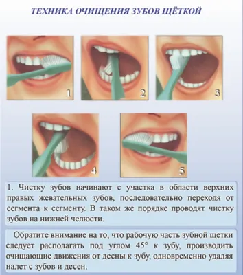 Презентация PowerPoint