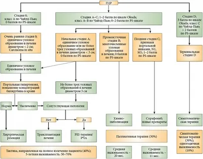 Химиотерапия рака печени в Москве: показания, особенности лечения