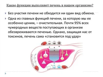 Названы симптомы рака печени - РИА Новости, 28.07.2020