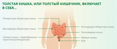 ≡ Рак кишечника ▻ Лечение ▻ Диагностика — «Добрый прогноз»