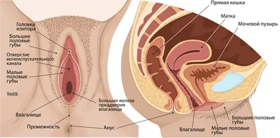Как выглядят ранние стадии рака ротовой полости?