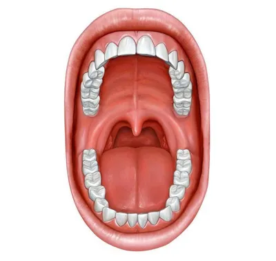 Рак слизистой полости рта: диагностика и квалифицированное лечение в Москве