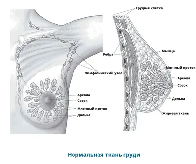 Как защитить себя? Часть 1: меланома | Пикабу