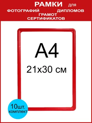 Рамка для сертификата НЕЛЬСОН 21x30 (A4) серебро 9мм алюминий ПН-02, арт.  5-15101. Фоторамки купить в Москве и России. Фото, цена, отзывы!