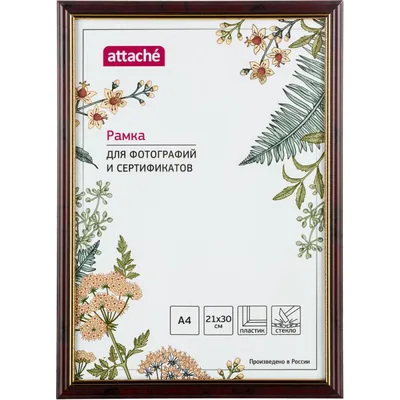 Рамка А4 (21*30) синяя купить в Минске по выгодной цене - ramki.by