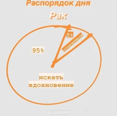 Раскраска Распорядок дня 632837 Украина купить - отзывы, цена, бонусы в  магазине товаров для творчества и игрушек МаМаЗин