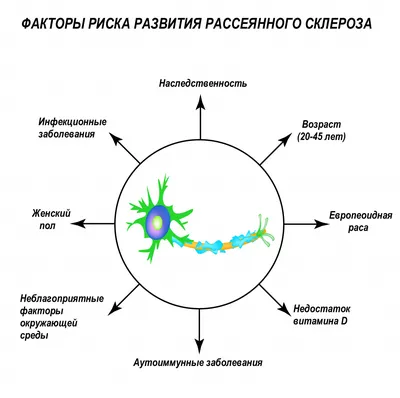 Рассеянный склероз | Клиника Эксперт