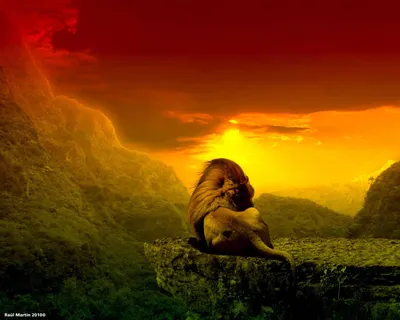 Rasta lion king reggae with gold crown mascot Vector Image