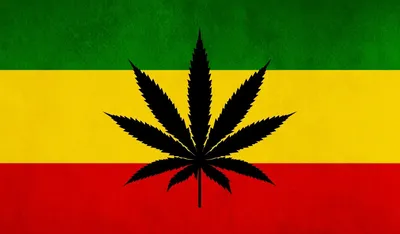 Docta Rasta Cannabis Co.