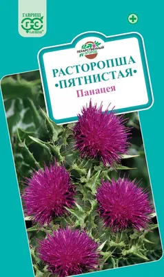 Расторопша (чертополох) 50г. - купить с доставкой по выгодным ценам в  интернет-магазине OZON (947917599)