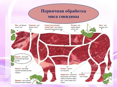 Как разделать тушу барана – «Еда»