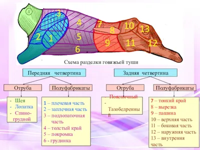 Как выбирать говядину на рынке