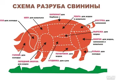 Плакат на тему мясо (37 фото) » Рисунки для срисовки и не только