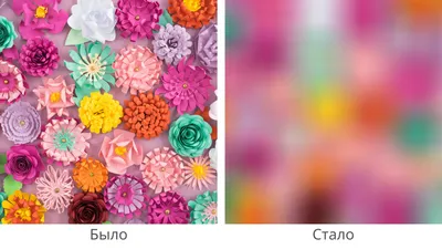 Как размыть фон на фото онлайн: 15 способов и идей – Canva