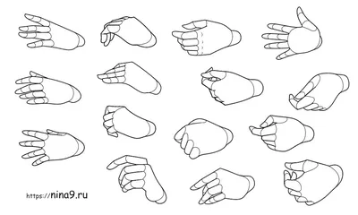Референс руки, разные кисти рук для срисовки 🎨 Картинки для срисовки.