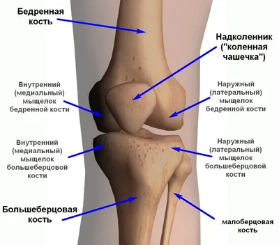 Тейпирование связок коленного сустава — статьи от эксклюзивного  дистрибьютора кинезиотейпов BBTape