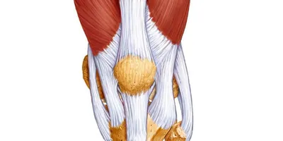 Методы лечения связок коленного сустава - Медкор