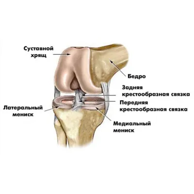 Растяжение связок коленного сустава – симптомы, причины, лечение.