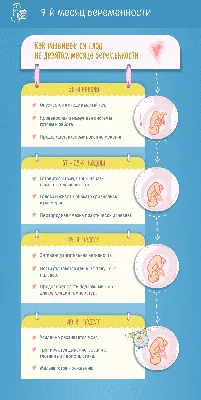 Беременность по неделям: развитие плода и ощущения будущей мамы - Статьи о  детском питании от педиатров и экспертов МАМАКО