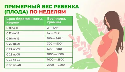 Беременность по неделям | Клиника ведения беременности в Пятигорске