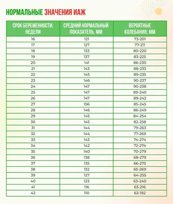 Развитие плода по неделям картинки