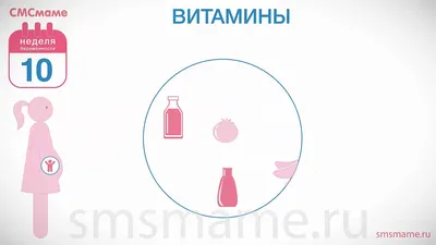 Пренатальное развитие картинки