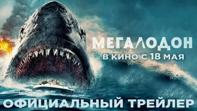 Мегалодон в музее: фото, изображения и картинки