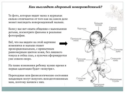 Микроскопический нано новорожденный …» — создано в Шедевруме