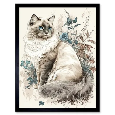 Ragdoll cat hi-res stock photography and images - Alamy