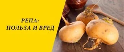 Как вырастить репу, редьку и редис | Томские Новости +