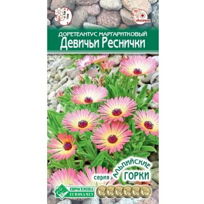 Реснички для игрушек, 2 ленты по 20см/ ресницы купить по цене 123 ₽ в  интернет-магазине KazanExpress