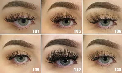 Etalon Lashes | Москва | Онлайн-запись