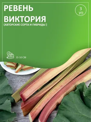 ЗАВТРАк ШЕФА - #сезонныйпродукт этого месяца – РЕВЕНЬ. Если задаться  вопросом: можно ли одно растение использовать для ландшафтного  декорирования, приготовления сотен блюд, лечения множества заболеваний?  Ответ: можно, если это растение – ревень.