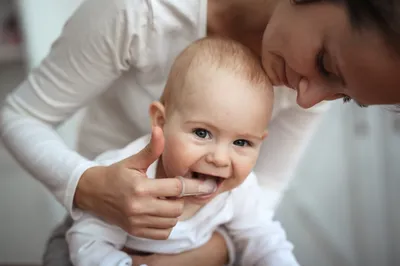 Зубы у детей: порядок прорезывания молочных и коренных элементов, схема,  как они прорезываются у ребенка, сроки, возраст и симптомы для грудничков и  малышей до года