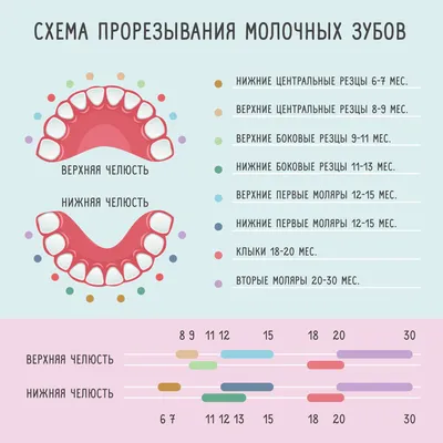 Виды прикуса - Cтоматология Май