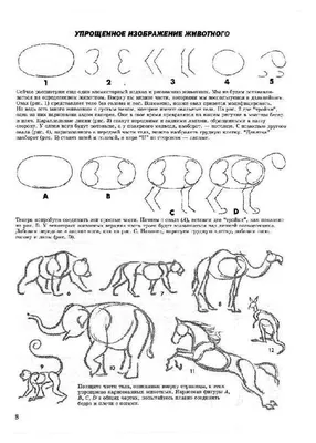 Рисуем животных простым карандашом. Уроки для детей 4-7 лет. | Дети, Уроки  рисования, Рисование