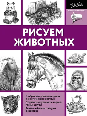 ИДЕИ ДЛЯ РИСОВАНИЯ КАРАНДАШОМ | Как Нарисовать Милых Животных Очень Легко И  Просто - YouTube