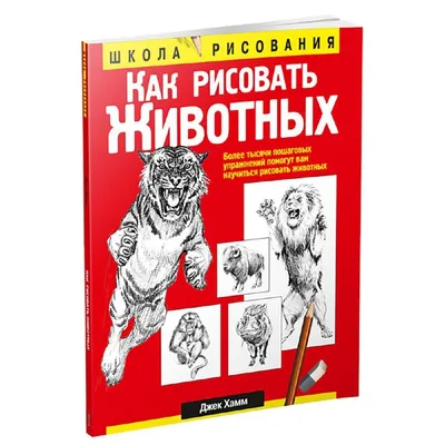 Учимся рисовать животных - Поделки с детьми | Деткиподелки | Рисование,  Рисунки малышей, Легкие рисунки