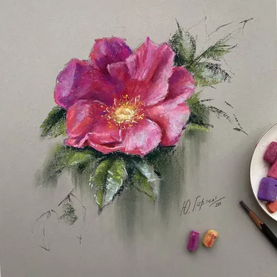 Полевые цветы рисунок акварелью Wild flowers watercolor drawing | Рисунок,  Цветы, Акварель